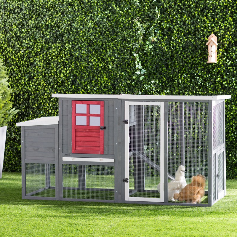 Duchess 22.2 Square Feet Chicken Coop with Nesting Box