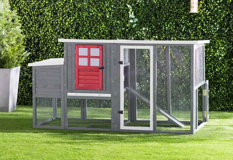 Duchess 22.2 Square Feet Chicken Coop with Nesting Box
