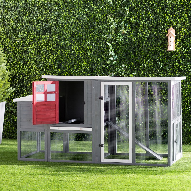 Duchess 22.2 Square Feet Chicken Coop with Nesting Box
