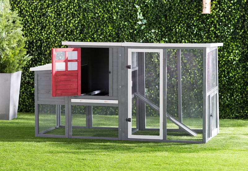 Duchess 22.2 Square Feet Chicken Coop with Nesting Box