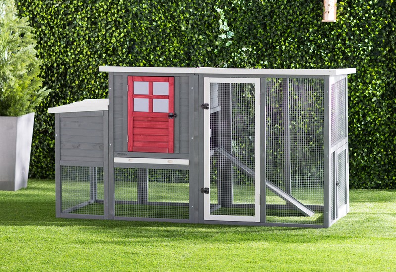 Duchess 22.2 Square Feet Chicken Coop with Nesting Box