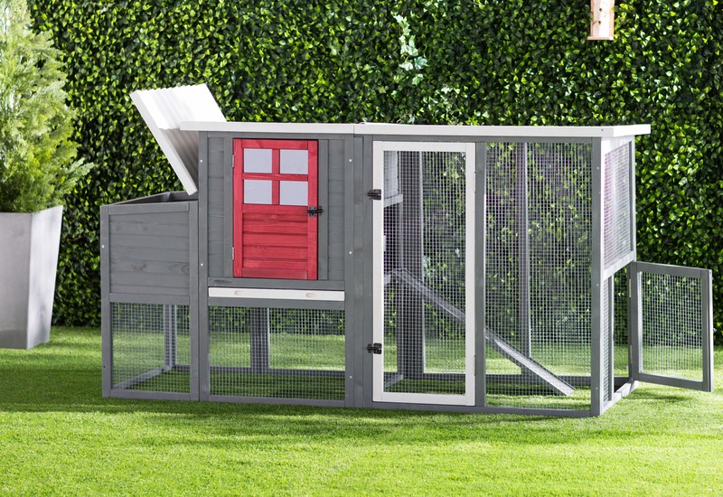 Duchess 22.2 Square Feet Chicken Coop with Nesting Box