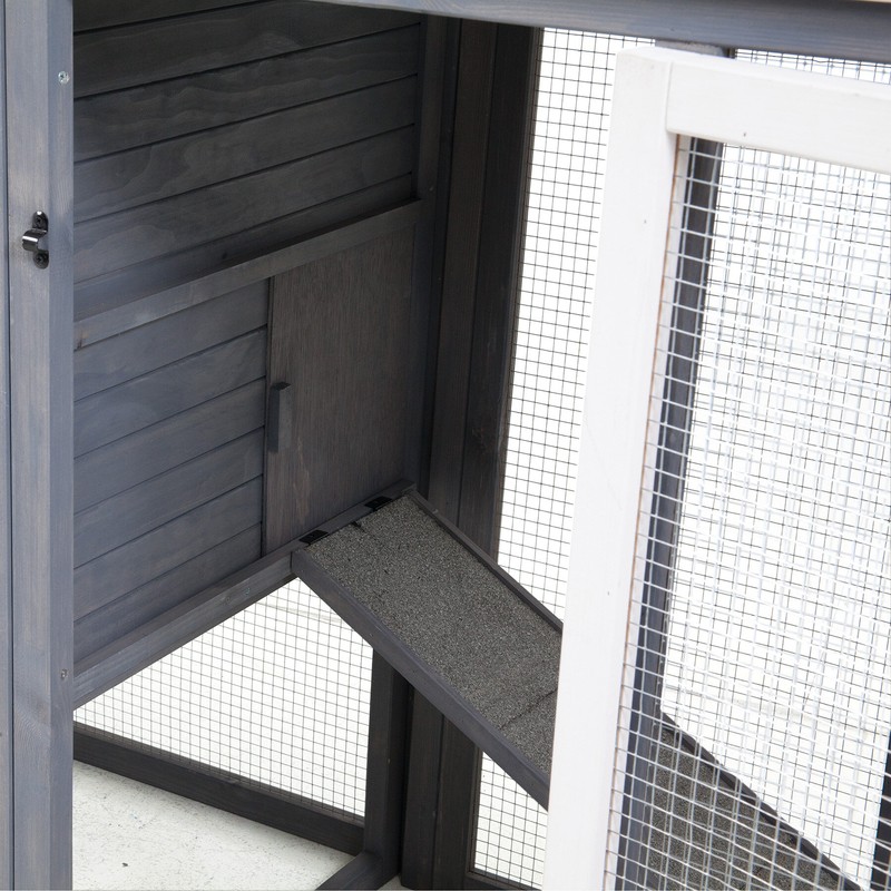 Duchess 22.2 Square Feet Chicken Coop with Nesting Box