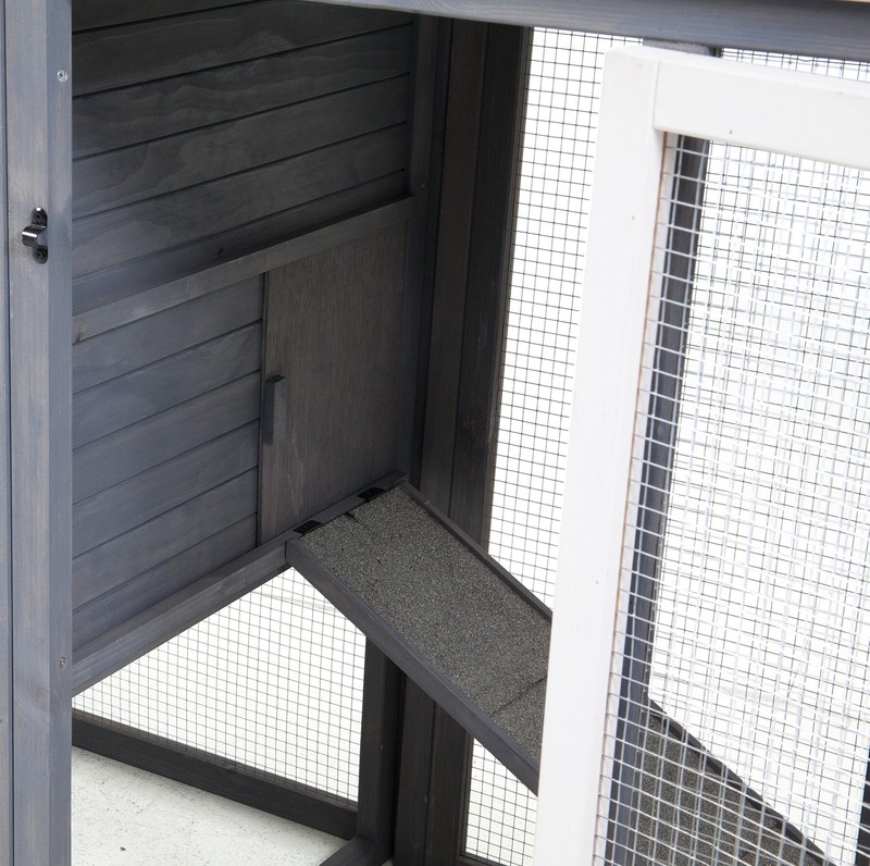 Duchess 22.2 Square Feet Chicken Coop with Nesting Box