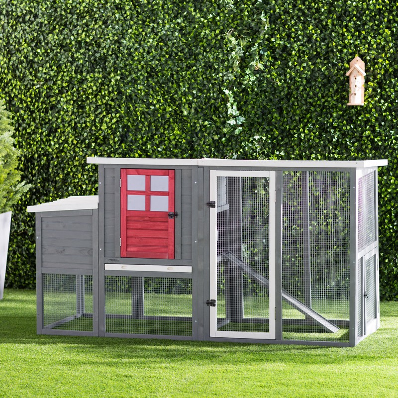 Duchess 22.2 Square Feet Chicken Coop with Nesting Box