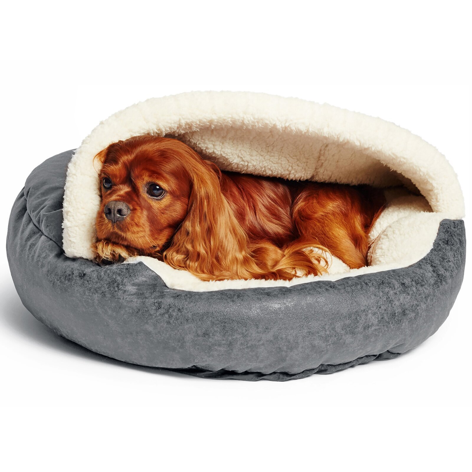 Eco Friendly Dog Bed