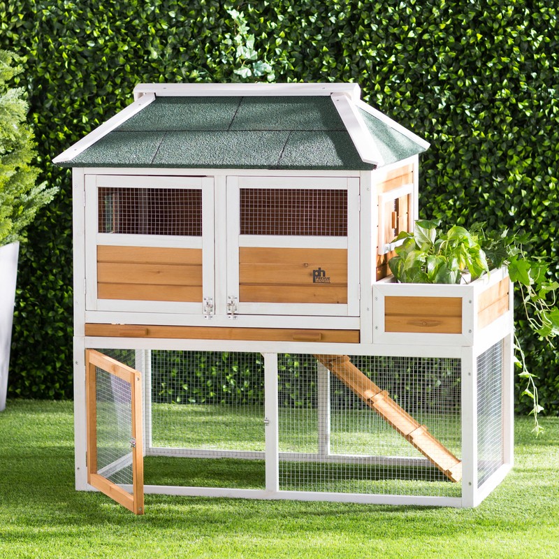 Enrique 15.8 Square Feet Chicken Coop with Chicken Run