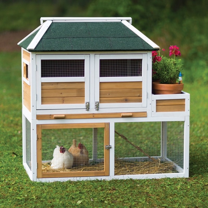 Enrique 15.8 Square Feet Chicken Coop with Chicken Run