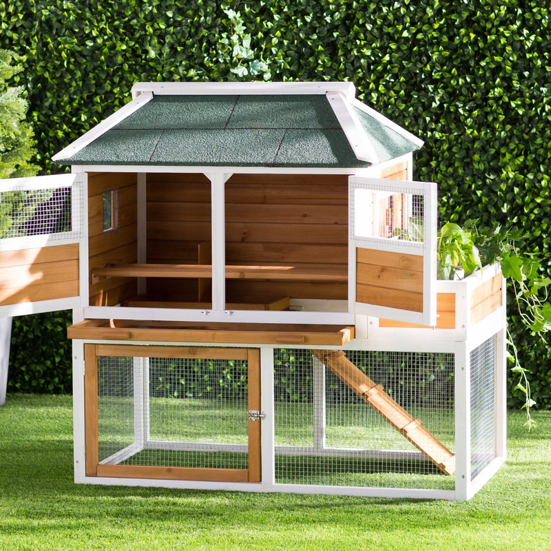 Enrique 15.8 Square Feet Chicken Coop with Chicken Run