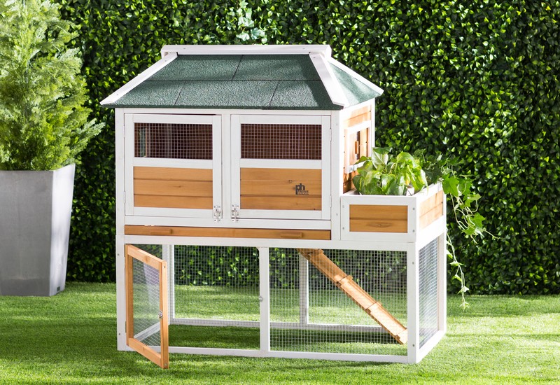 Enrique 15.8 Square Feet Chicken Coop with Chicken Run