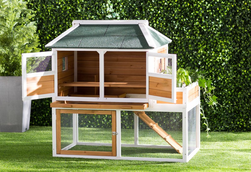 Enrique 15.8 Square Feet Chicken Coop with Chicken Run