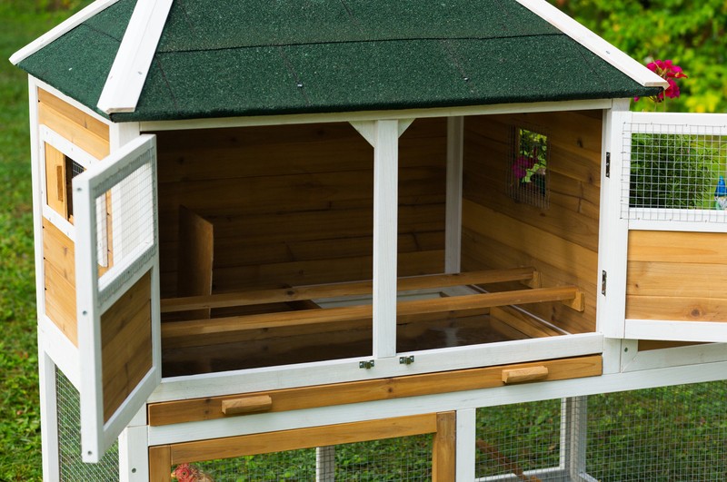 Enrique 15.8 Square Feet Chicken Coop with Chicken Run