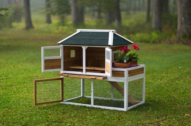 Enrique 15.8 Square Feet Chicken Coop with Chicken Run