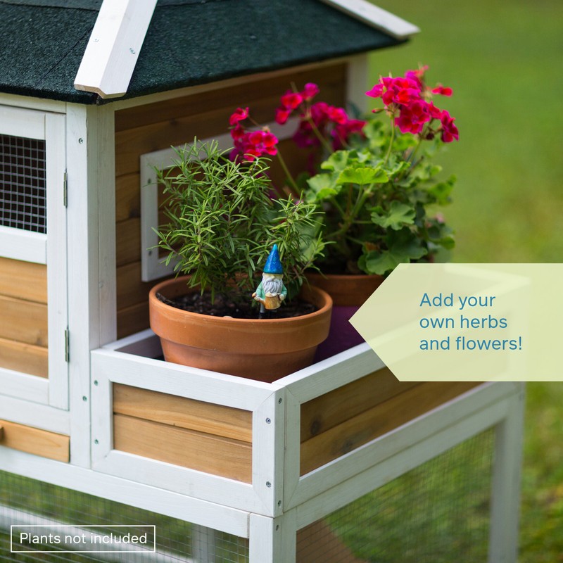 Enrique 15.8 Square Feet Chicken Coop with Chicken Run