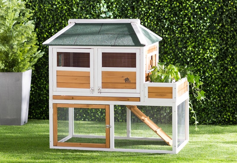 Enrique 15.8 Square Feet Chicken Coop with Chicken Run