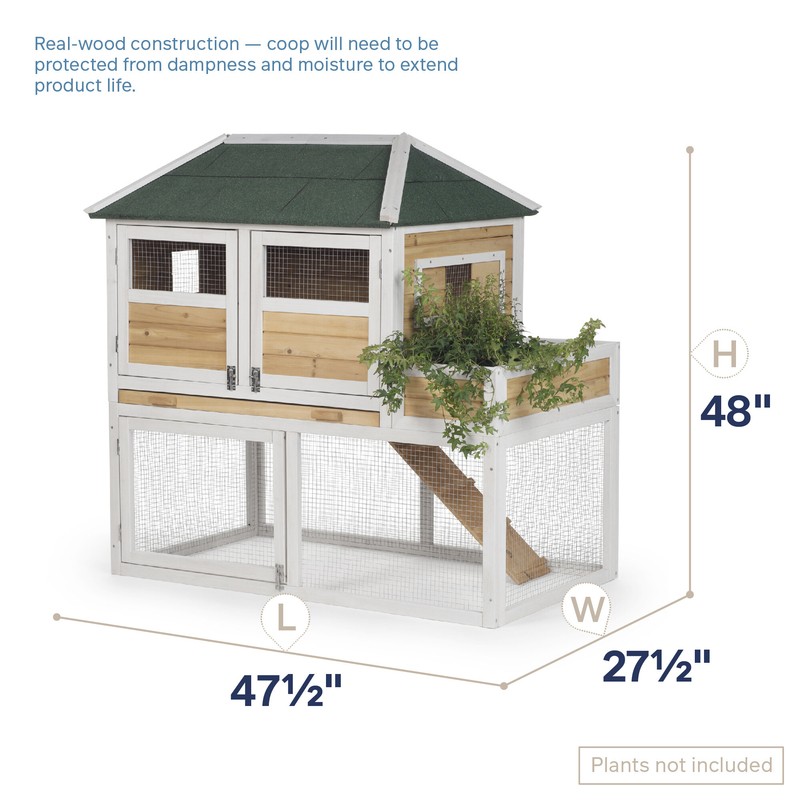 Enrique 15.8 Square Feet Chicken Coop with Chicken Run