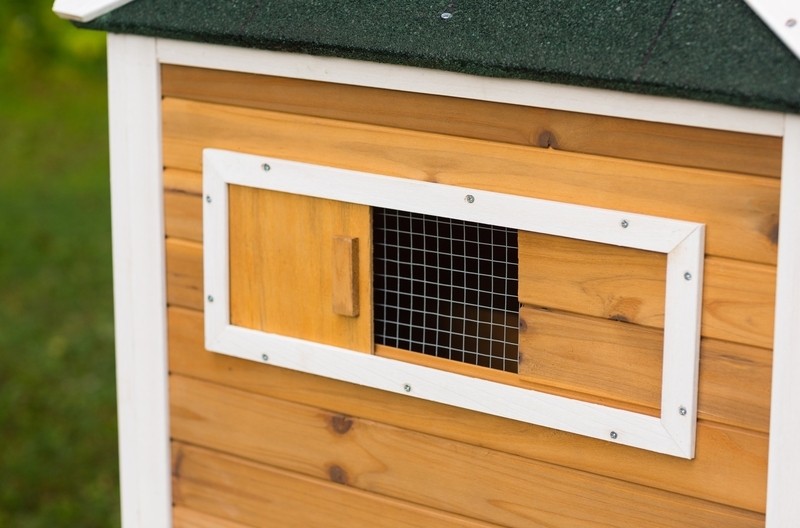 Enrique 15.8 Square Feet Chicken Coop with Chicken Run