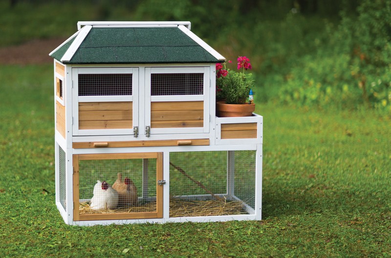 Enrique 15.8 Square Feet Chicken Coop with Chicken Run