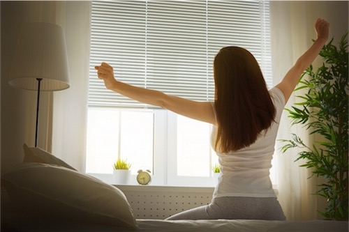 Eucalptus Oils Morning Wakeup Eucalptus Oils Morning Wakeup