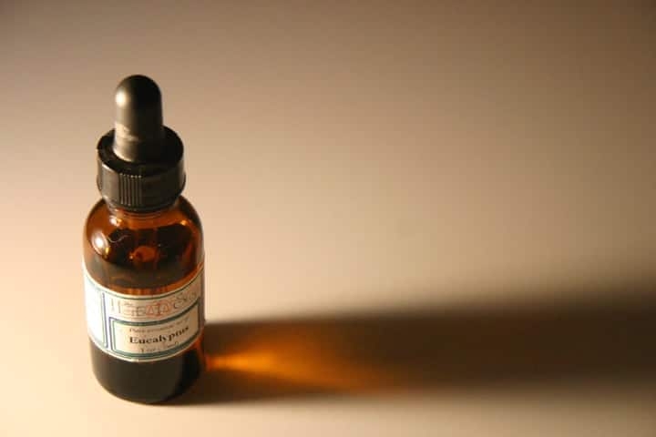eucalyptus oil at home eucalyptus oil at home
