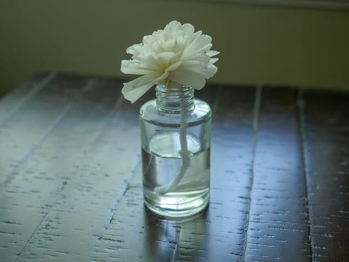 eucalyptus oil difuser eucalyptus oil difuser