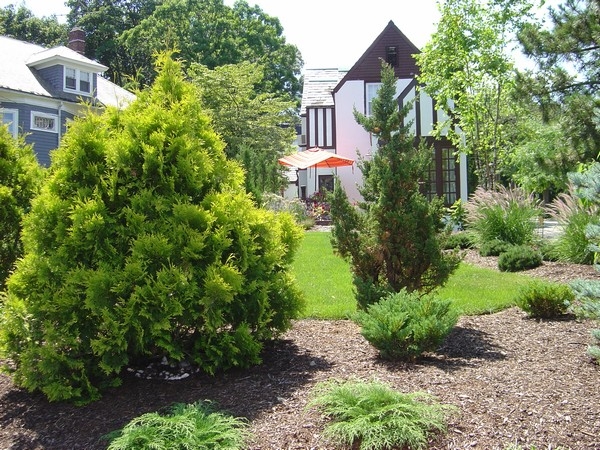 Evergreen Garden Design Ideas Evergreen Garden Design Ideas