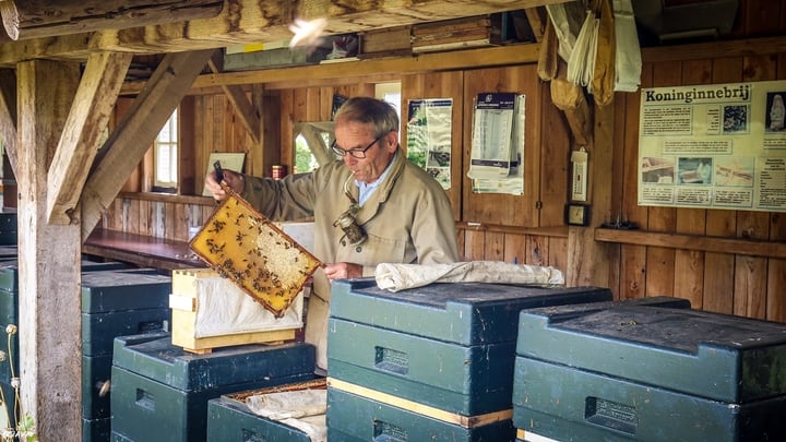 experienced beekeeper