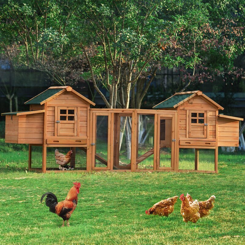 Extra Large Chicken Coop With Run