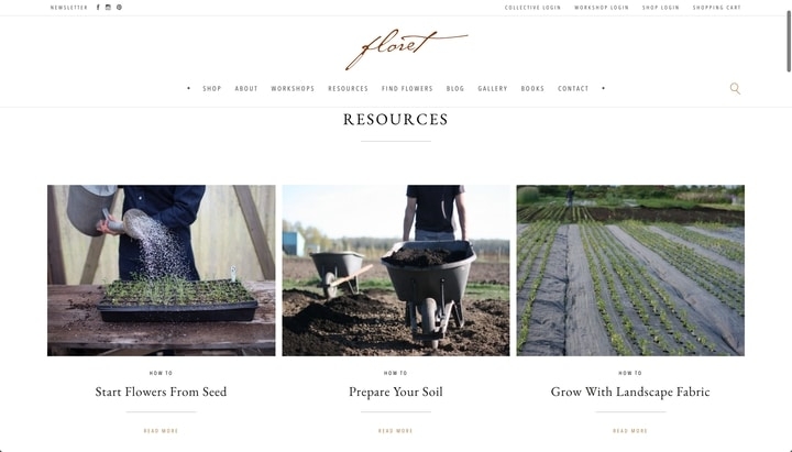 floret flowers best flower information resources floret flowers best flower information resources