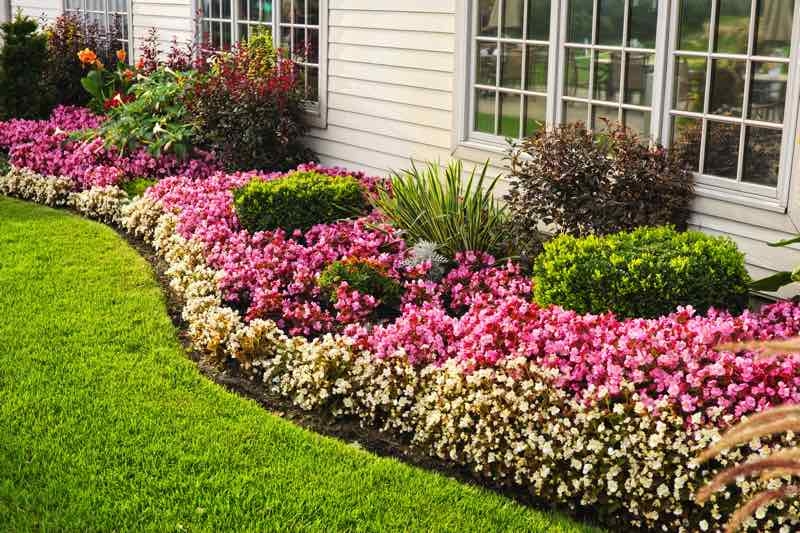 landscaping ideas for around the house