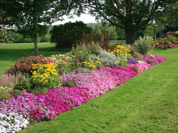 Flower Garden Flower Garden