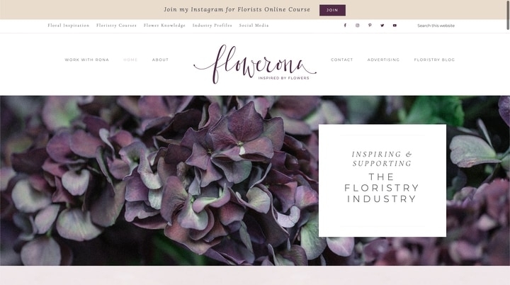 flowerona best flower information website flowerona best flower information website