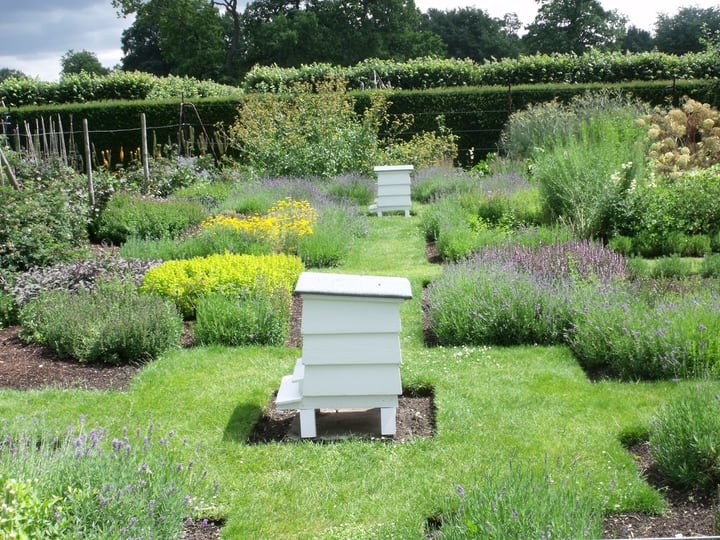 garden bee hives