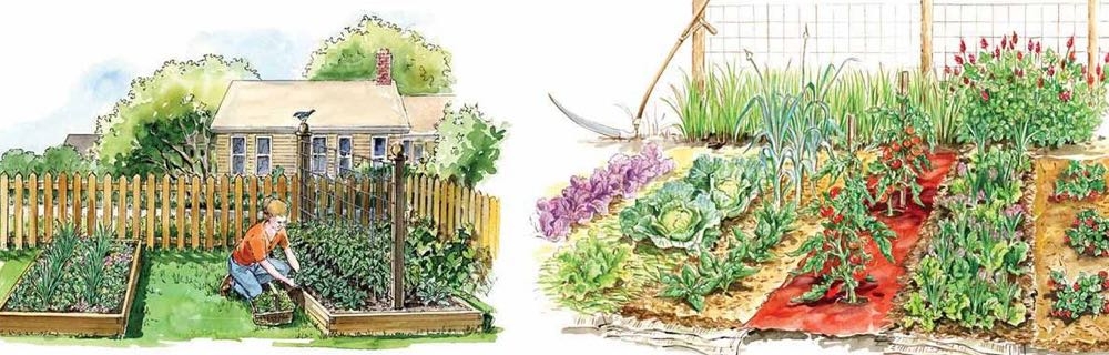 garden design overview planning garden design overview planning