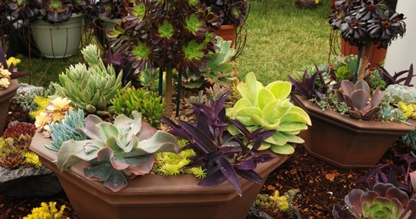 Gardening Cake Designs Gardening Cake Designs