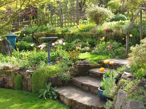Gardening On Slopes Gardening On Slopes
