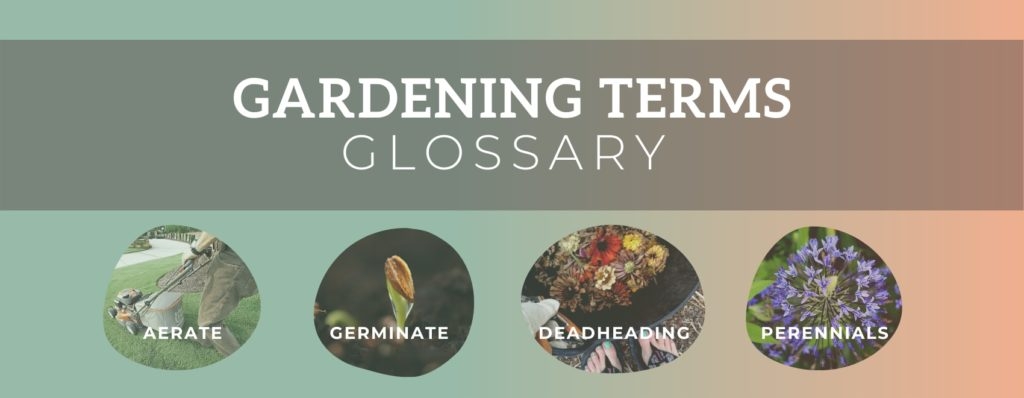 gardening terms glossary gardening terms glossary