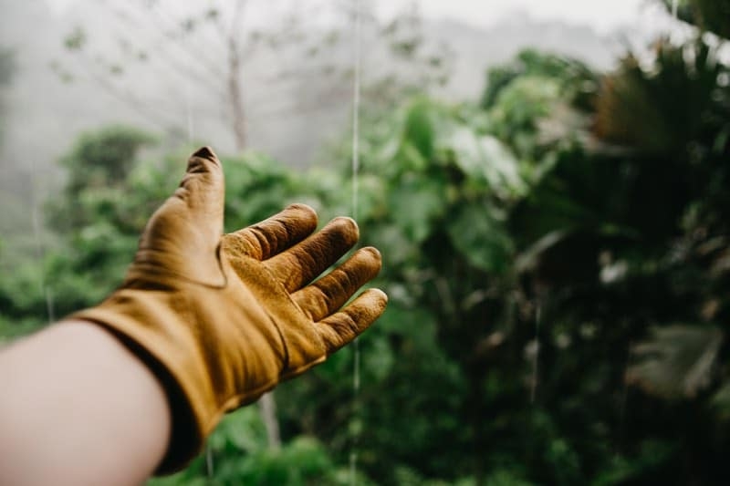 gloves gardening gloves gardening