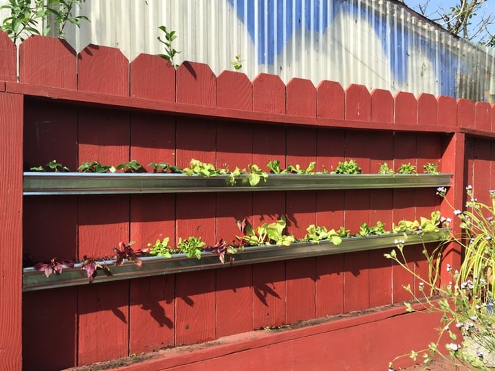 gutter plant wall garden gutter plant wall garden