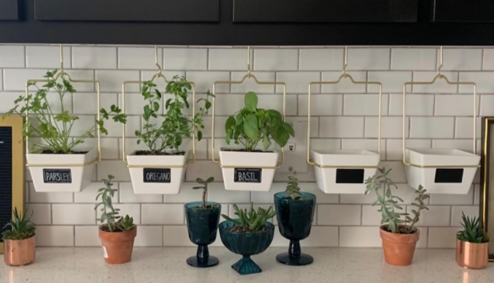 hanging herb planters in the kitchen hanging herb planters in the kitchen