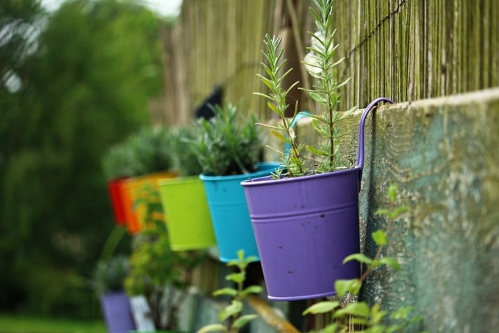 hanging herb wall garden hanging herb wall garden