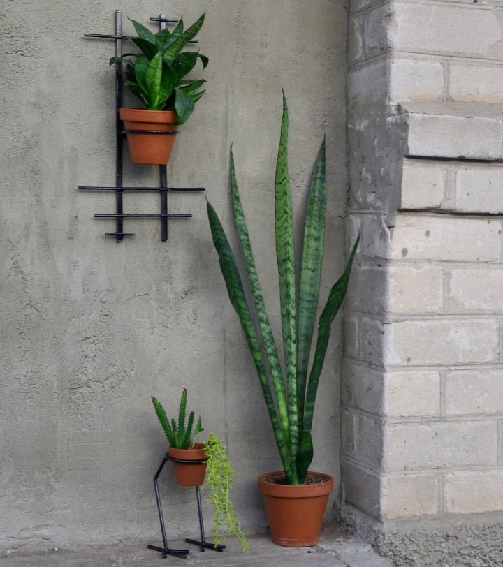 hanging planters on brick wall hanging planters on brick wall
