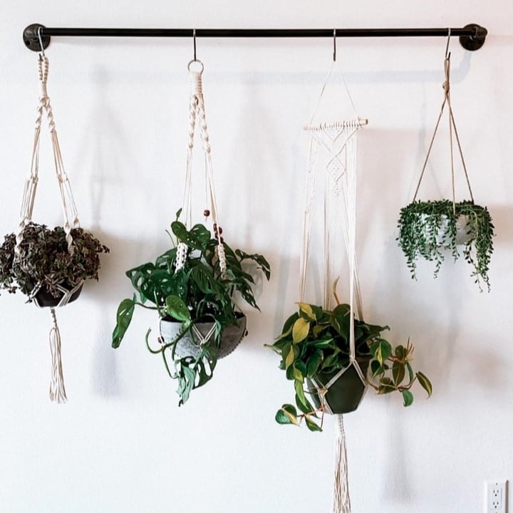 hanging wall planters hanging wall planters