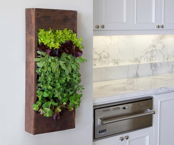 herb gardening indoors herb gardening indoors