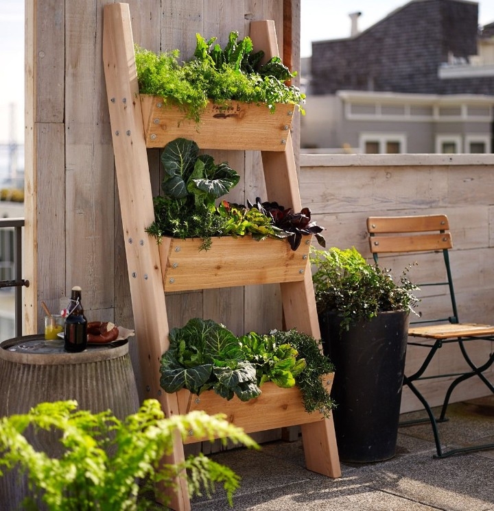 herb gardening ideas