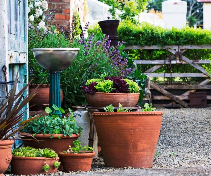 herb gardening ideas