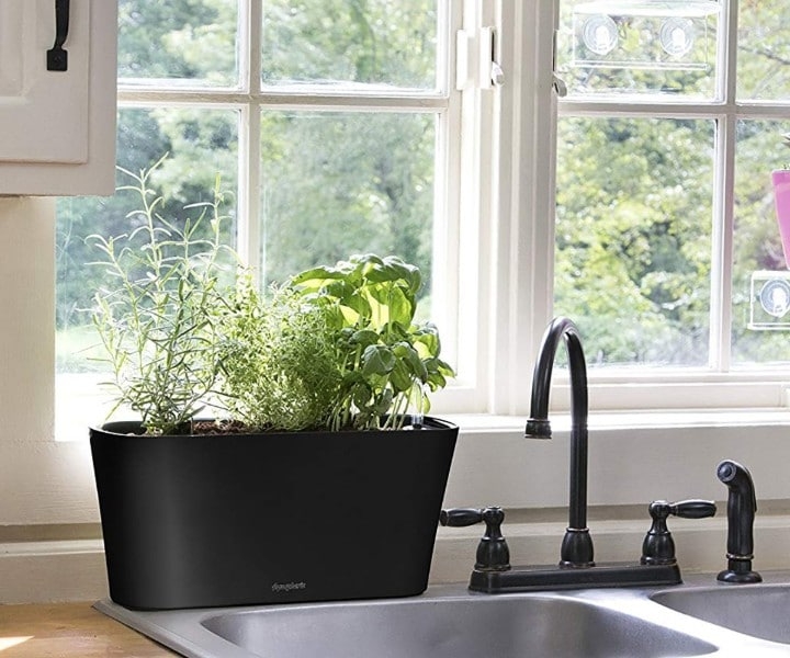 herb pots for kitchen herb pots for kitchen