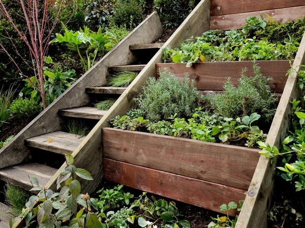 Hillside Landscaping Hillside Landscaping