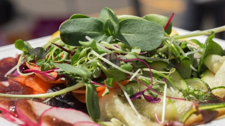 homemade microgreen salad homemade microgreen salad