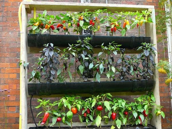 How To Do Vertical Gardening How To Do Vertical Gardening
